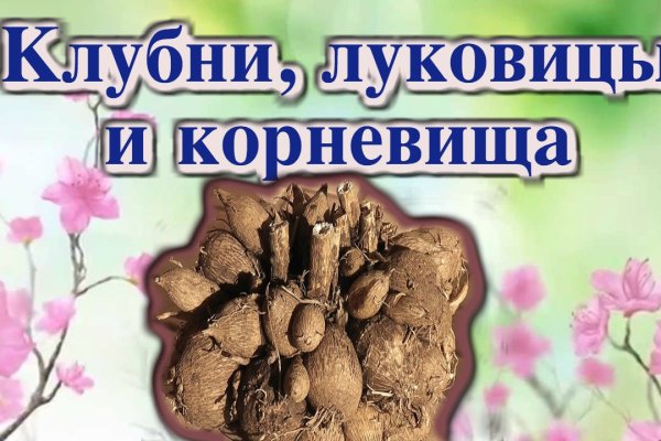 Кракен переходник ссылка
