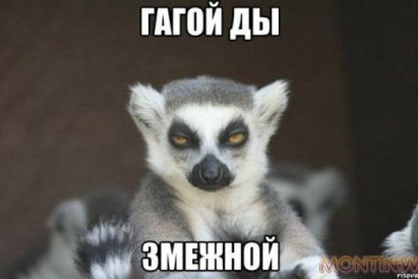 Гидра сайт в тор браузере ссылка